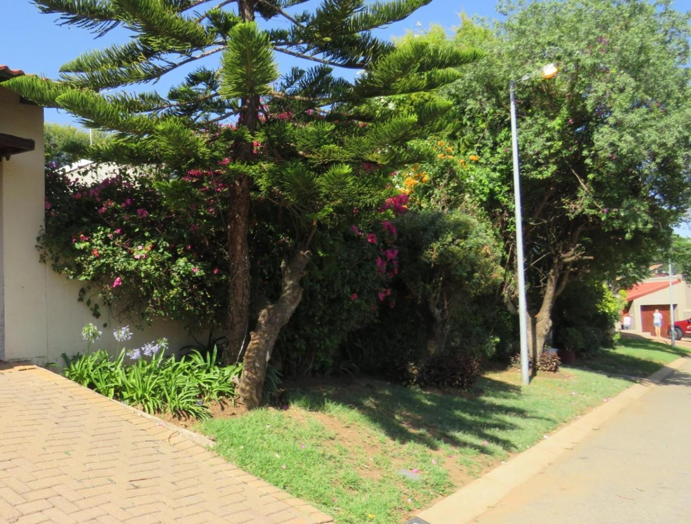 Bougainvillea At Boskruin Johannesburg